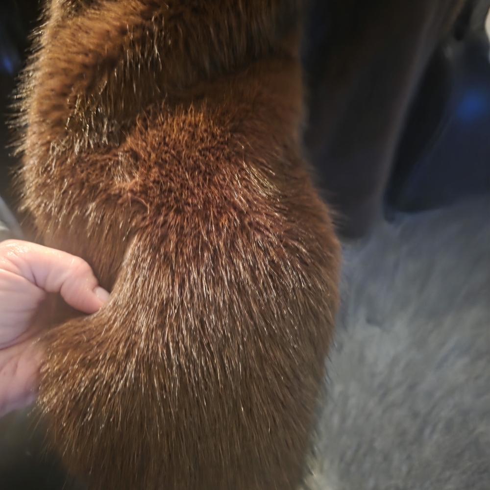 Frank Lyman Design Brown Faux Fur Coat - Picture 3 of 4